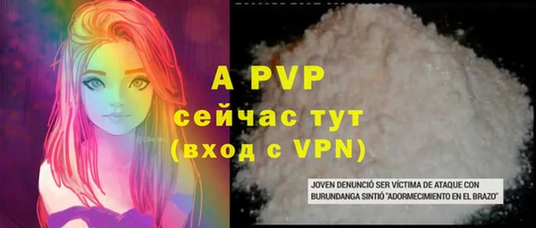 PSILOCYBIN Балабаново