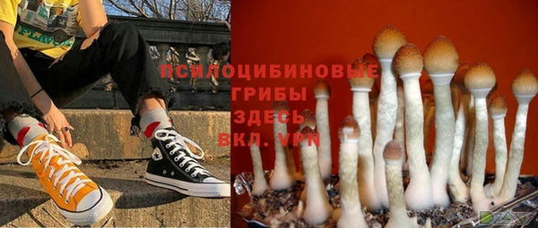 хмурый Белоозёрский